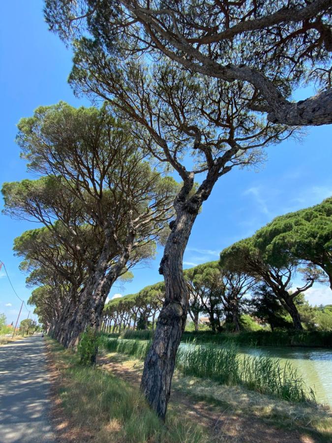 Le Relais D'Affiac Panzió Peyriac-Minervois Kültér fotó