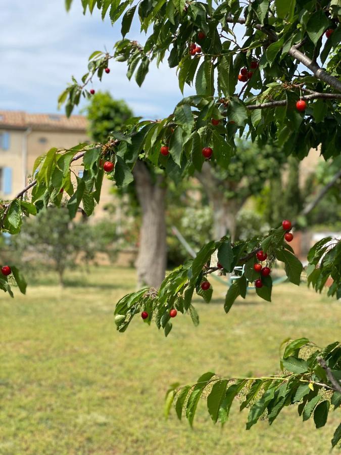 Le Relais D'Affiac Panzió Peyriac-Minervois Kültér fotó