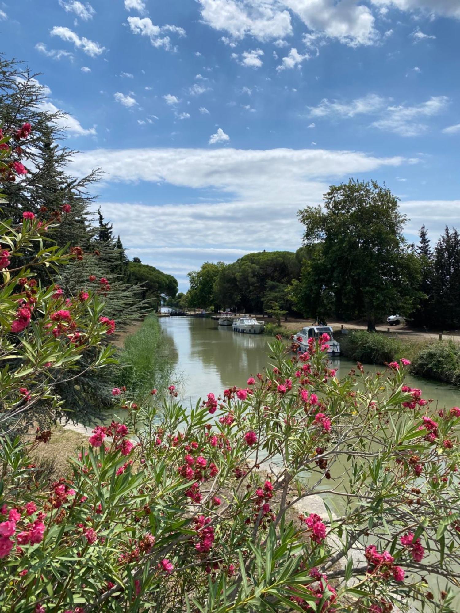 Le Relais D'Affiac Panzió Peyriac-Minervois Kültér fotó